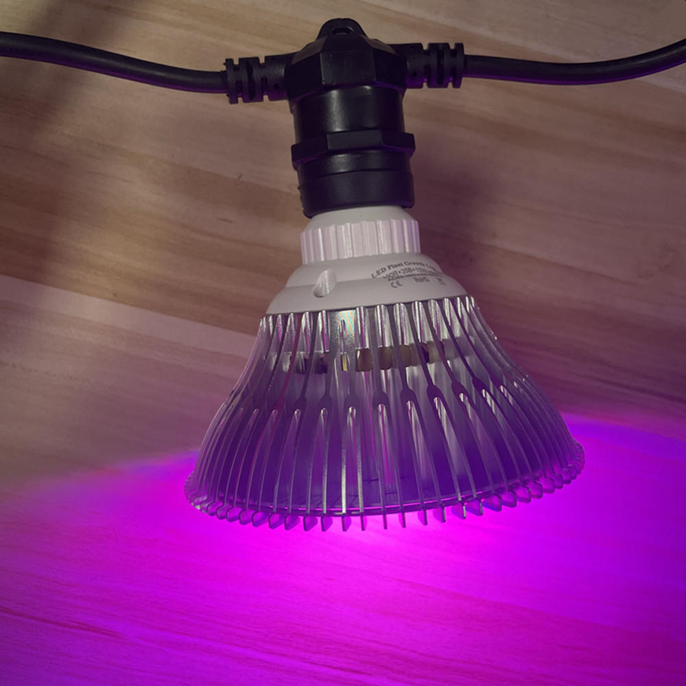 10M Cable LED String Commercia - đánh giá và giá Led Fairy String Lights
