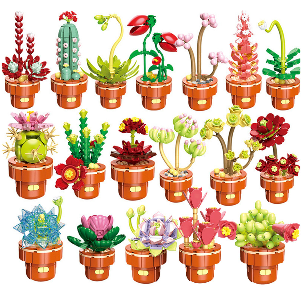 2024 City Creativity Succulent - đánh giá và giá Lego Set Creator
